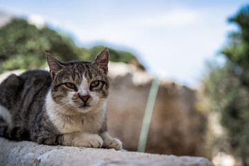 Ein Bummel durch Chora