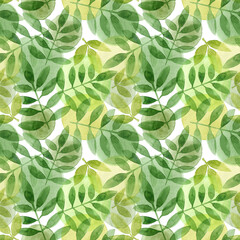 Fototapeta premium Juicy Green leaves and watercolor circles of yellow and light green colors on a white background.