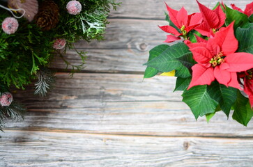 christmas decoration on wooden background