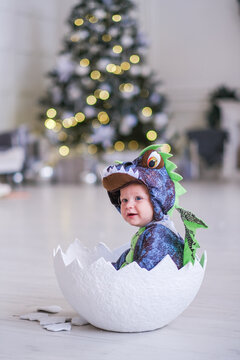 A cute baby character in a dragon costume sits in an egg shell