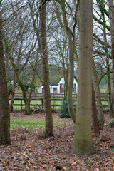 Traditional Dutch farm near Epe in The Netherlands on Wisselse Veen