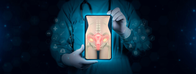 image of uterus on doctor's tablet. Female reproductive health concept. Control and care of the female reproductive system. Doctor with digital technology background - obrazy, fototapety, plakaty