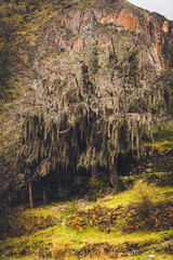 Paisaje Sierra. Nor yauyos Cochas Peru
