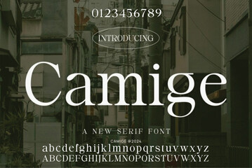 Elegant Font Uppercase Lowercase and Number. Classic Lettering Minimal Fashion Designs. Typography modern san Sanserif fonts regular decorative vintage concept. vector illustration