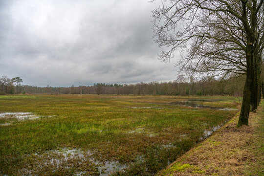 View over Wisselse Veen near Epe in the Netherlands, a newly formed nature reserve called Landgoed Tongeren.