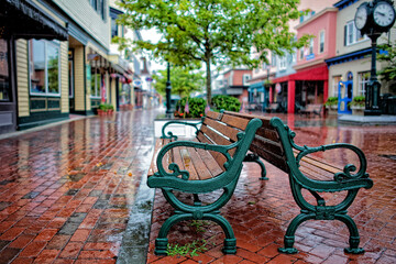 Benches in the Rain