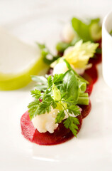 rote Bete, Salat, Vorspeise, Parmesan, Kerbel,