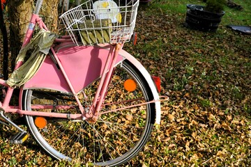 Hinterreifen von pinkem Fahrrad mit weißem Korb angelehnt an Baumstamm auf Laubbedeckter...