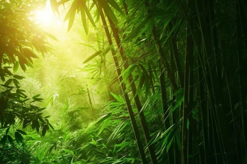 Fotobehang Lush bamboo forest with sunlight filtering through dense foliage © Bijac