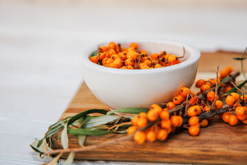 Fototapeta na wymiar Freshly picked sea buckthorn berries on a branch. Sea buckthorn, harvested in the fall and torn from the branches, poured into a plate, ready for freezing and making healing tea