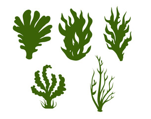 Plants © FloridsDesign