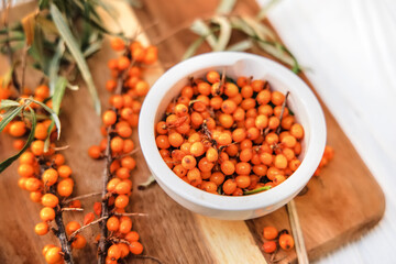 Freshly picked sea buckthorn berries on a branch. Sea buckthorn, harvested in the fall and torn from the branches, poured into a plate, ready for freezing and making healing tea