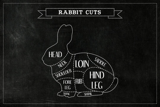 Butchers diagram guide for cutting Rabbit. 