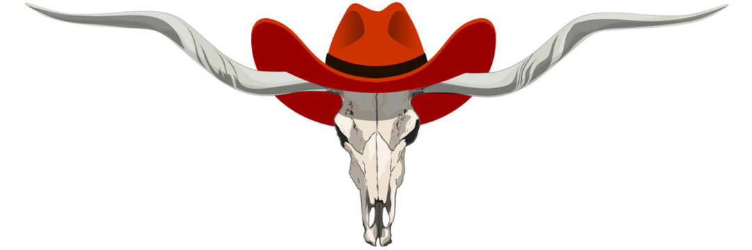 Texas longhorn Texas cow head skull isolated transparent without background ready for print with a cowboy hat