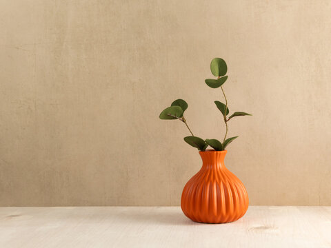 Green leaves branch in vase on wooden table. Copy space. Minimalist interior mock up in scandinavian style.