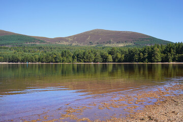 Loch Morlich and Glenmore forest in the Scottish highlands	