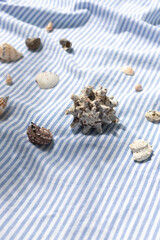 Different kinds of seashells frame on the blue striped fabric background top view. Copy space
