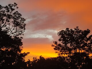 Atardecer en la selva 