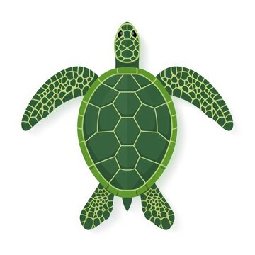 Green large sea turtle isolated on white background.