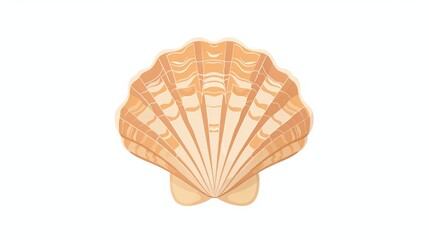 Sea shell.