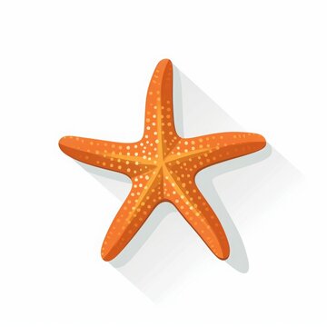 Starfish on white background.