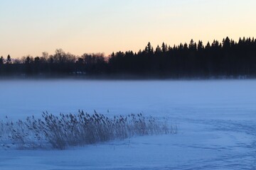 The lake in fog on a winter day with blue sky. Forest and grass in cold frozen water.