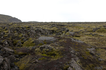 Iceland. Landscape on a cloudy summer day.