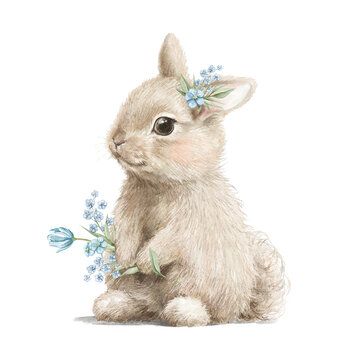 Cute vintage Easter bunny rabbit with floral boutonniere holding bouquet with forget-me-nots isolated on white background. Watercolor hand drawn illustration sketch
