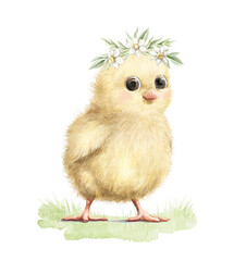 Cute vintage little yellow chick bird with floral wreath on green meadow isolated on white background. Watercolor hand drawn illustration sketch