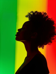 Silhouette of a proud black African woman against a backdrop of green, yellow, and red vertical stripes.