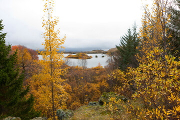 Fototapeta premium Autumn in Iceland.