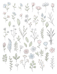 Set with varied simple small pink flowers, plants and leaves isolated on white background. Watercolor hand drawn illustration