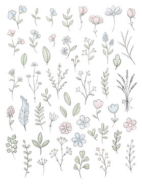 Set with varied simple small pink flowers, plants and leaves isolated on white background. Watercolor hand drawn illustration