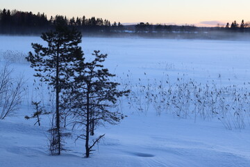 The lake in fog on a winter day with blue sky. Forest and grass in cold frozen water.