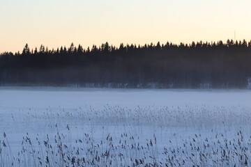 The lake in fog on a winter day with blue sky. Forest and grass in cold frozen water.