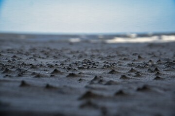 tracks on the sand