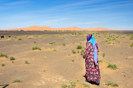 berber nomadic woman with a herd of goats in the sahara desert