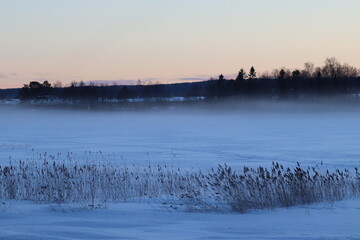 Naklejka premium The lake in fog on a winter day with blue sky. Forest and grass in cold frozen water.