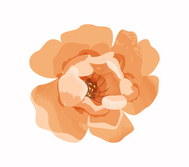 Floral branch watercolor concept. Orange bloom and blossom plants. Beauty, elegance and aesthetics. Pattern and ornament. Cartoon flat vector illustration isolated on white background