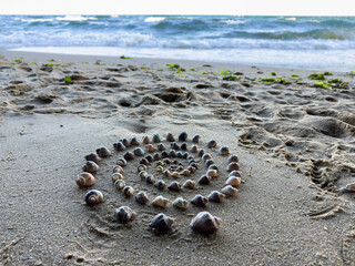 Seashells laid out in a spiral on a sandy seashore