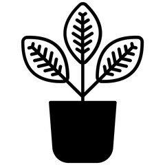 Croton plant glyph and line vector illustration © Icongeek26