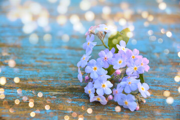 Beautiful spring flower on wooden background with bokeh lights - festive mothers day and fathers...