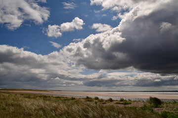 Storm Clouds Over The Forest