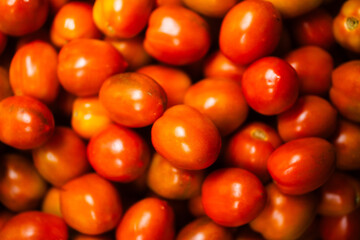 tomatoes on the market