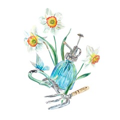 Gardening watercolor. Daffodils, spray bottle, butterfly, pitchfork, shears. Illustration isolated on white background. Cards, invitations, banners.