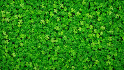 Green Saint Patrick’s Day background with clovers and shamrock, Saint Patrick’s Day template, web design, pattern, model, website banner