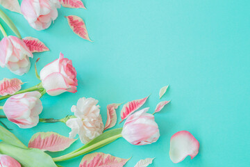 beautiful pink spring flowers on blue background