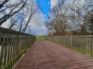 bridge in the park