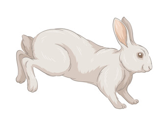 Cute fur rabbit concept. Sketch of forest dweller. Hand drawn art. Adorable white bunny run. Wildlife and fauna. Social media sticker. Cartoon flat vector illustration isolated on white backgroun