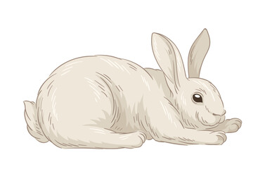 Cute fur rabbit concept. Sketch of forest dweller. Hand drawn art. Adorable white bunny. Wildlife and fauna. Minimalistic creativity. Cartoon flat vector illustration isolated on white backgroun